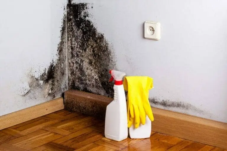 Supporting visual for Contaminated water on tiles: avoid direct cleanup